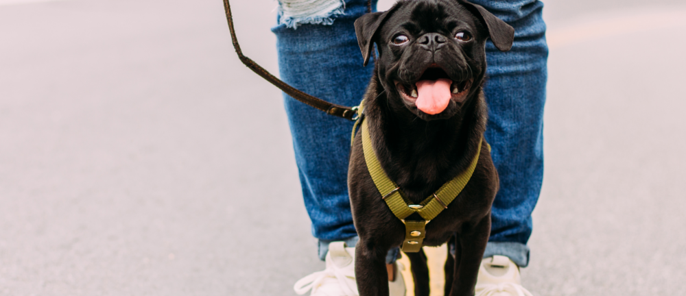 Photo by leonides ruvalcabar on Unsplash